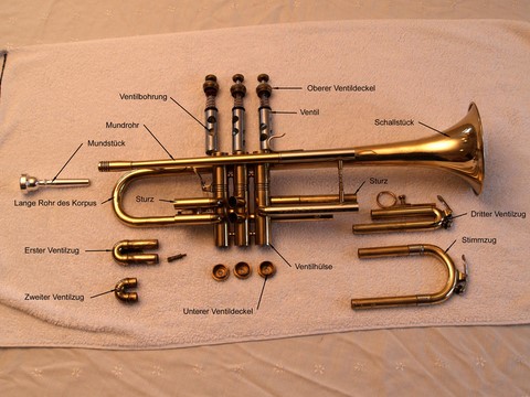 Trompete zum reinigen in Einzelteile zerlegt
