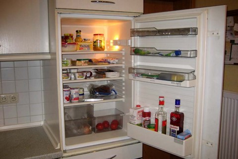 Einbau Kühlschrank integrierbar und ohne Gefrierfach