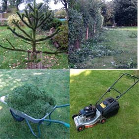 Garten gestalten