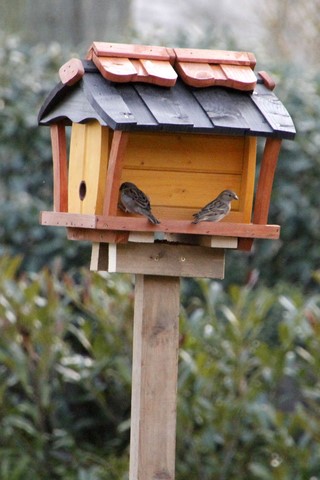 Vogelfutterhaus auf Ständer montiert und 2 Vögel 