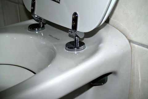 Der an der Toilettenschüssel montierte WC-Sitz im aufgeklapptem Zustand