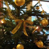 Einen Weihnachtsbaum (Christbaum) in einen Christbaumständer aufstellen und festlich dekorieren
