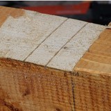 Carport bauen: Pfosten und Pfetten montieren